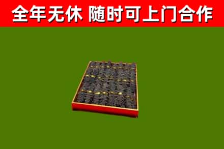 索县烟酒回收海参.jpg